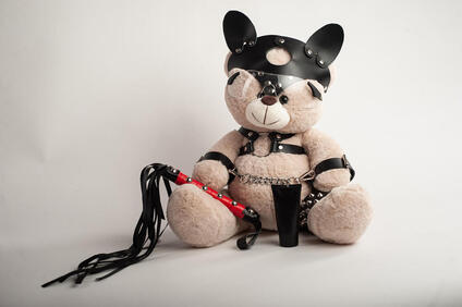Picture of a teddy bear in BDSM gear. Talking with a couples therapist in Plymouth, MN or a sex therapist in Minneapolis may help your relationship! Consider online sex therapy in Minnesota today.