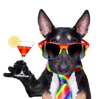 Picture of a dog with rainbow glasses, a rainbow tie, and a martini celebrating Pride 2023 in Plymouth, MN and the Twin Cities area. Affirming therapists in Plymouth, MN can help via online therapy in Minnesota for LGBTQ+ individuals and couples. 55369 | 55361 | 55391